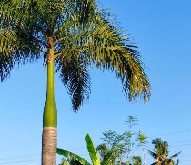 San Juan Bed & Breakfast | 32 m² Bed and breakfast ∙ 15 guests