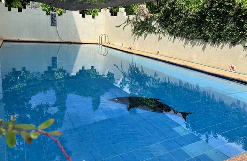 Olongapo Hotel | 43 m² Hotel ∙ 2 guests