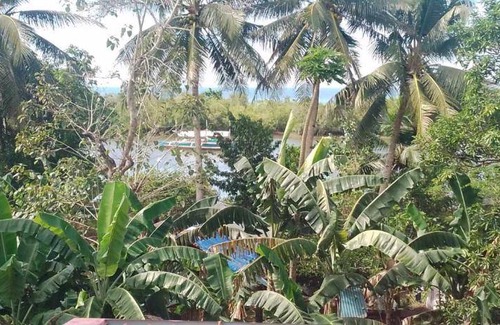 Donsol Bed & Breakfast | 80 m² Bed and breakfast ∙ 4 guests