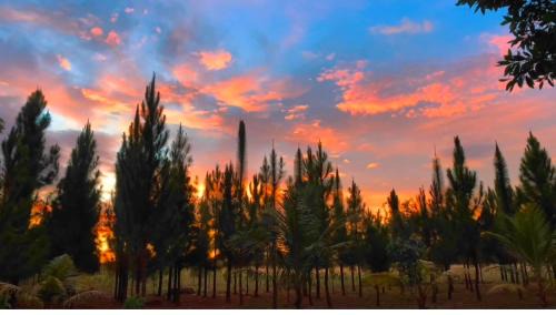 Manolo Fortich Villa | Alina Farm Resort- Two Bedroom Villa
