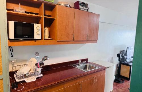 Yapak Apartment | Alta Vista De Boracay F205