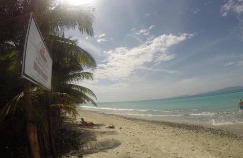 Abra de Ilog Resort | Amami Beach Resort