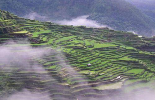 Bontoc Bed & Breakfast | Bed and breakfast ∙ 6 guests