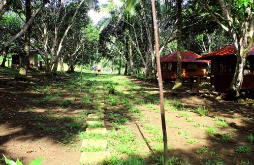 San Pedro Other | Camping ∙ 8 guests