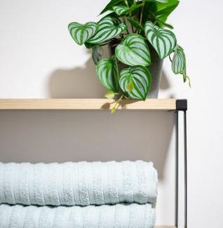 Mandurriao Apartment | Cozy & Homey 3-Bedroom