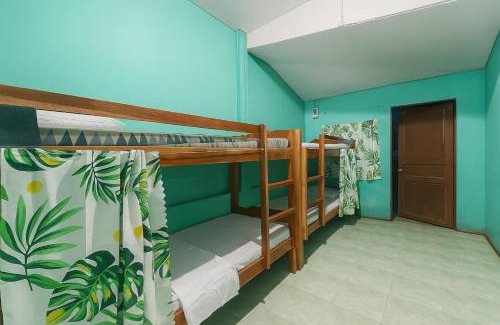 Basdiot Hostel | Driftwoods Lodging House
