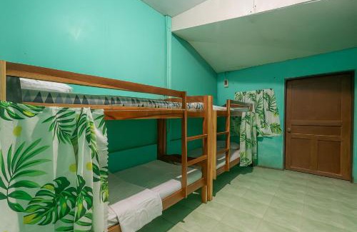 Basdiot Hostel | Driftwoods Lodging House