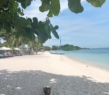 Daanbantayan Hostel | Georgia's Neverland Hostel