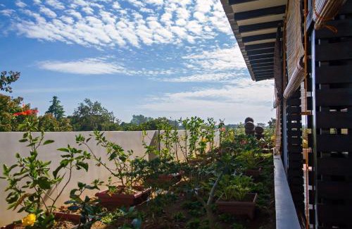 San Pedro Hostel | Globetrotter Inn - Palawan Inc.