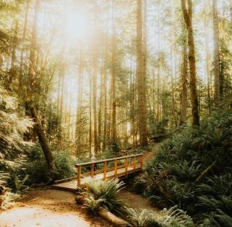 Dau Apartment | Harvey's Apartment