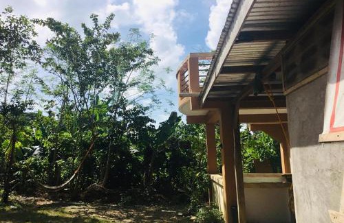 San Pedro Hostel | Larosa Hostel Puerto Princesa
