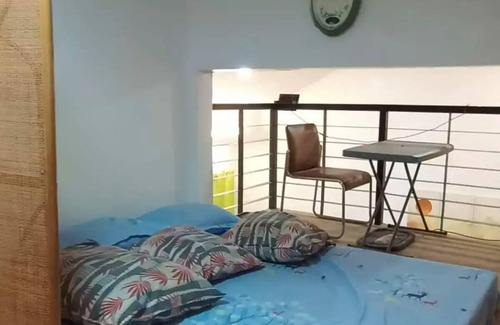 Amadeo House | Misty Hills