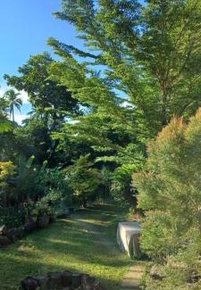 San Benito Bed & Breakfast | Querencia Siargao Rest House