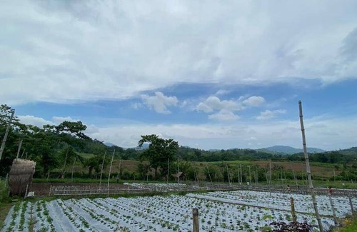 Pulot Resort | Resort ∙ 1 bedroom ∙ 3 guests