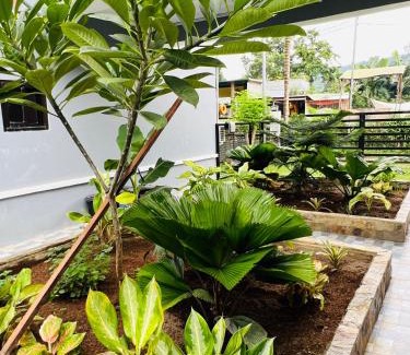 Puerto Galera Bed & Breakfast | Sammys House Rental