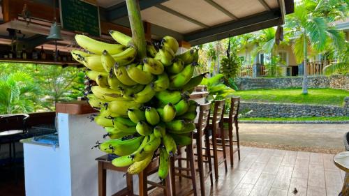 San Juan Resort | South Mountain Resort