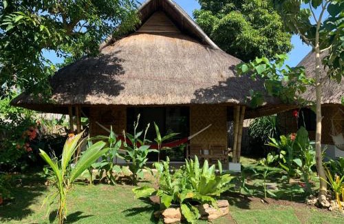 Anda Hotel | Three Little Birds Resort