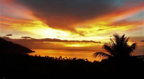 Puerto Galera Hotel | Tribal Hills Mountain Resort