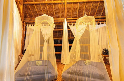 Loboc Hotel | Water To Forest Ecolodge