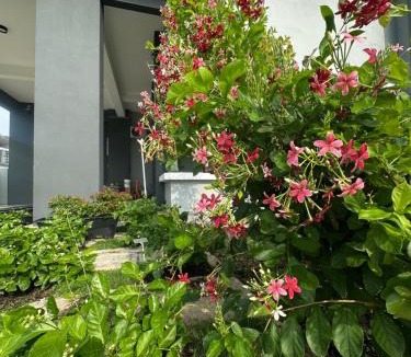 Kampung Batu Kapur Villa | 茉莉疗愈民宿 Jasmine Healing Homestay Mentakab