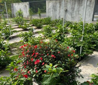 Kampung Batu Kapur Villa | 茉莉疗愈民宿 Jasmine Healing Homestay Mentakab