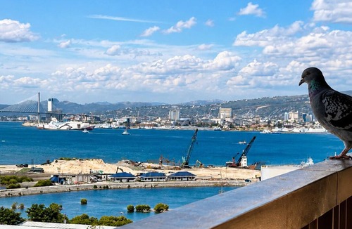 Lapu-Lapu Condo | 10 Mins to Mactan-Cebu Airport ZeeCloud Muji Suites with Sea City View Balcony