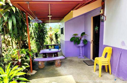 Siquijor Bed & Breakfast | 16 m² Bed and breakfast ∙ 8 guests