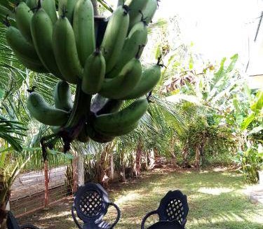 San Juan Bed & Breakfast | 196 m² Bed and breakfast ∙ 6 guests
