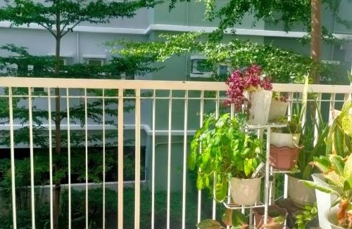 CSJDM Apartment | 1BR at Trees Residences with Balcony