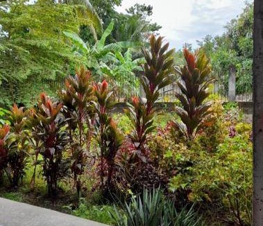 Dumaguete Bed & Breakfast | 22 m² Bed and breakfast ∙ 3 guests