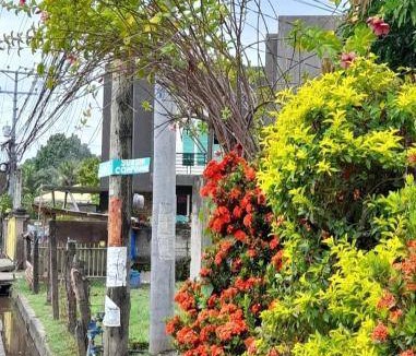 Dumaguete Bed & Breakfast | 22 m² Bed and breakfast ∙ 3 guests