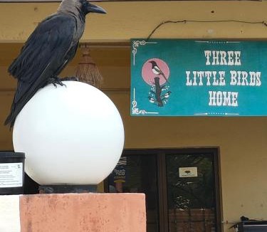 Taman Kota Laksamana Hostel | 3 Little Birds Home, 100meter to JonkerWalk