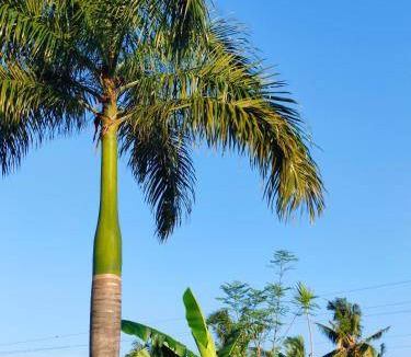 San Juan Bed & Breakfast | 32 m² Bed and breakfast ∙ 15 guests