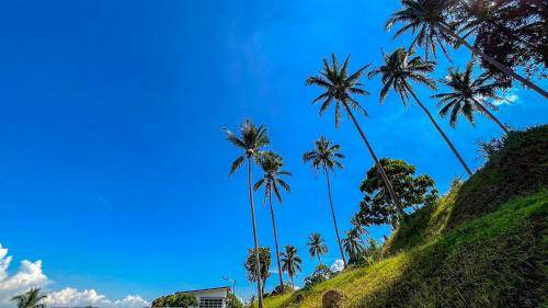 Lumban Resort | 70 m² Resort ∙ 8 guests
