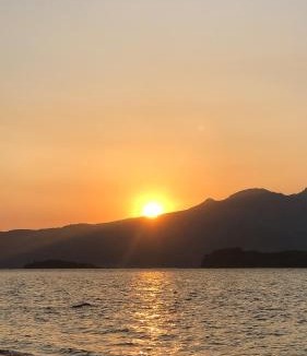 Morong Apartment | AGTA Nest Loft in Subic Bay with Self-Serve Breakfast - WiFi, Monkeys, Pet Friendly with a Fee