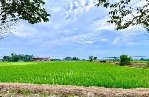 Kota Setar District House | Aila Homestay TTHI
