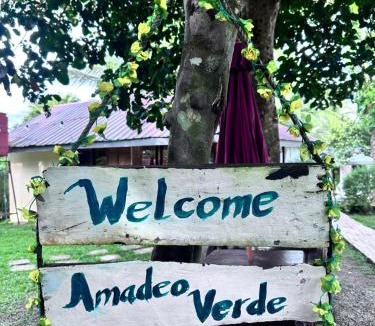 Amadeo Other | Amadeo Verde