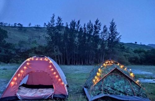 San Antonio Other | Angeles Campsite