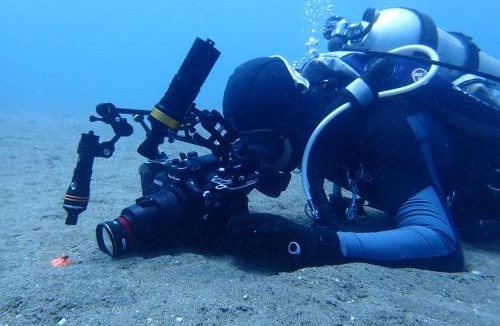 Dauin House | AoJing Diving Resort澳鲸潜水温泉店