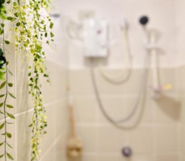 San Jose Apartment | Apaisante Tropical Lodge