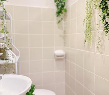 San Jose Apartment | Apaisante Tropical Lodge