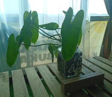 Bandar Seri Iskandar Apartment | Bajet Homestay - Teratak Singgah