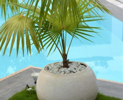 Danao Villa | Balai Cinta