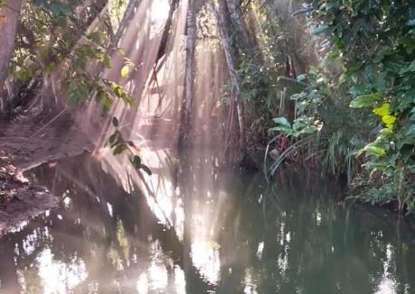 Cabayugan House | Bambua Nature Cottages