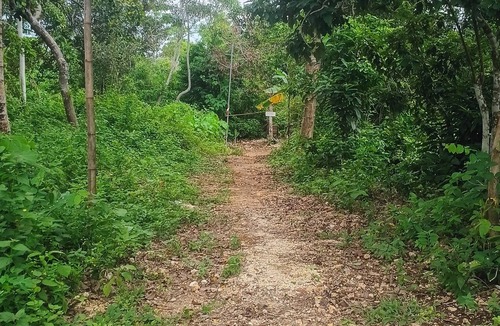 San Juan House | Black Magic Bungalows The island of mystical enchantment, beauty, and adventure