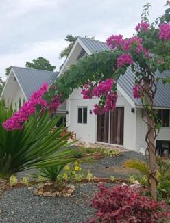Anda House | Bohol Lovers Homestay