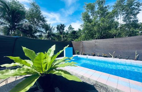 Tawala Villa | Bohol Paradise Villa in Panglao