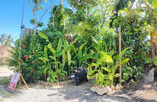 General Luna House | Bom Dia Siargao Villas