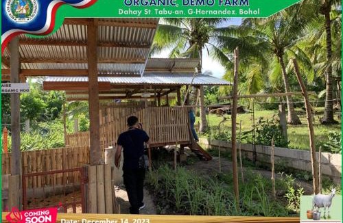 Garcia Hernandez Other | Bow and Arrow Integrated Organic Farm