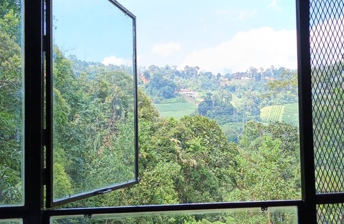 Genting Sempah Cabin | California Cabin/Reserved Forest Healing/25min From KL